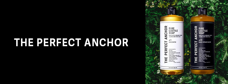 THE PERFECT ANCHOR