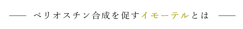 ペリオスチン合成を促すイモーテルとは