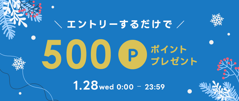 1日限りポイントプレゼント 1日限りポイントプレゼント
