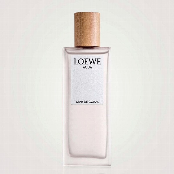 オードゥ トワレ ロエベ アグア 100ml - 香水(ユニセックス)